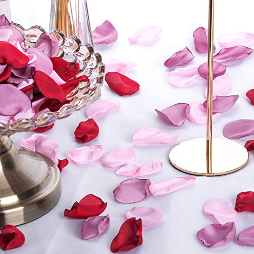 Neaticoo Silk Rose Petals 300Pcs Realistic Fake Flower Petals For Wedding Flower Girl Basket Anniversary Valentines Day Romantic Night Party Christmas Decoration #TOP6