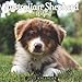 Produktbild Australian Shepherd Welpen Kalender: 18-Monats-Kalender von Juli 2022 bis Dezember 2023 - Behalten Sie den Überblick über wichtige Details, Notizen und Termine