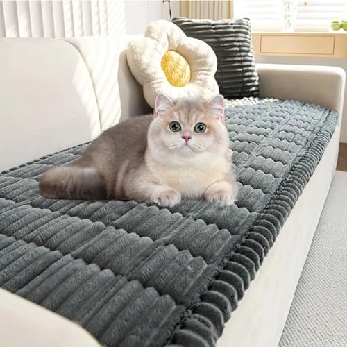 Awavsea Paw Lounge Plush Pet Couch Cover, Paw lounge Plush Couch Cover Stylish Non Slip, Soft Comfortable Strong & Scratch Resistant Protection Machine Washable Easy Cleaning (Dark Gray,70 × 120 cm)