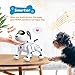 RC Dog Toy for Kid, Remote Control Robotic Dog Stunt Puppy Voice...
