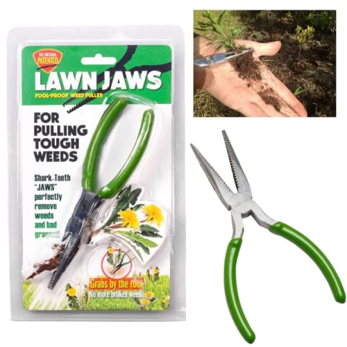 Top 10 Weeding Tool For Lawn of 2022 Katynel