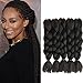 5 PCS Black Color Jumbo Braids Hair Extensions Big Braids 24 Inches 100g/pc(5pcs,Black)
