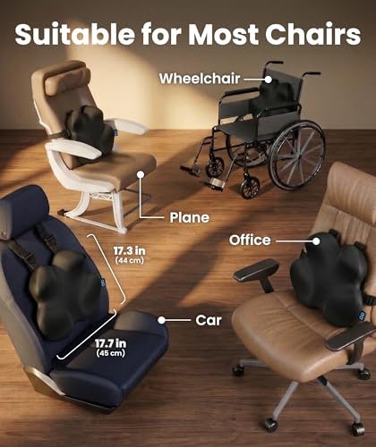 Image of Everlasting Comfort Lumbar Support Pillow for Office Chair - Improves Posture, Promotes Back Pain Relief - Superior Back Support for Gaming and Desk Chairs - Lumbar Pillow for Car, Couch
