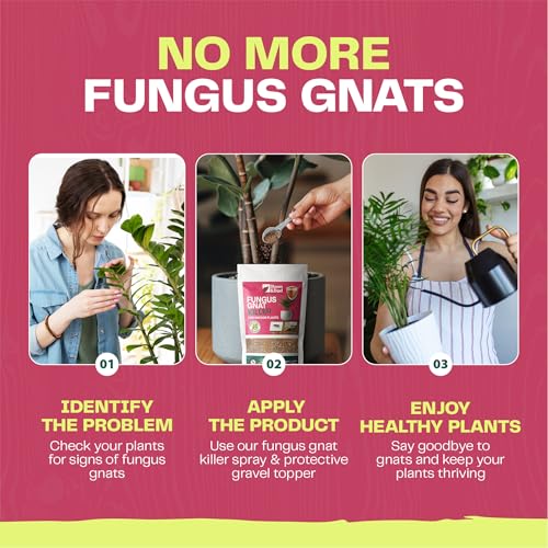 Bloom & Bud Fungus Gnat Killer for Indoor Plants 550g – Dual-Action No Gnat Pot Topper with Organic Fertiliser | Gravel Mulch & Systemic Granules for Houseplants | Natural Gnat & Larvae Killer - Image 5