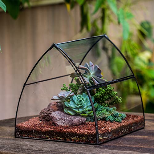 Ncyp Black Curved Glass Terrarium With Lid For Succulent Moss Miniature Plants (10.2X9.4X9 Inches) Handmade Closed Geometric Garden Clear Planter Pot For Indoor Decor, Centerpiece (Terrarium Only) #TOP1