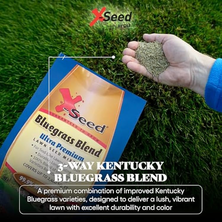 X-Seed Bluegrass Lawn Seed Blend with 4Most Seed Enhancement by DLF - Fast-Growing, Drought-Tolerant, Cool-Season Grass Seed for Thick, Green Lawns, 3 lbs. Covers up to 4,900 sq. feet, 99.9% Weed Free