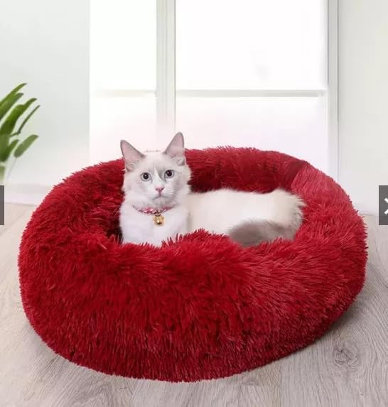 Geizire Cat Beds for Indoor Cats, 24 Inch Round Donut Washable Cat Bed