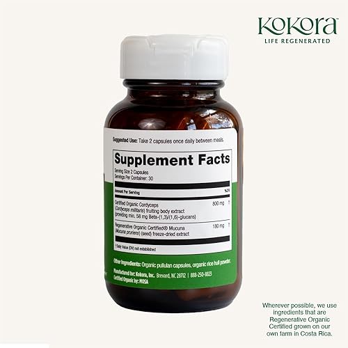 Miniatura 7 de Cordyceps Energy - Suplemento orgánico de hongos adaptogénicos - Incluye extracto de Cordyceps orgánico certificado y macuna orgánica regenerativa