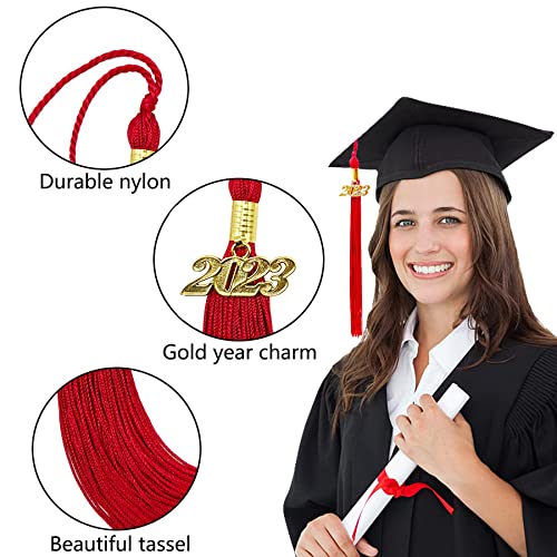 2Pcs 2023 Graduation Cap Tassels, Graduation Decorations To Celebrate The Class Of 2023, Soft Silky Tassel Accessories For Graduate Hats Parties Ceremonies Souvenir White Red #TOP2