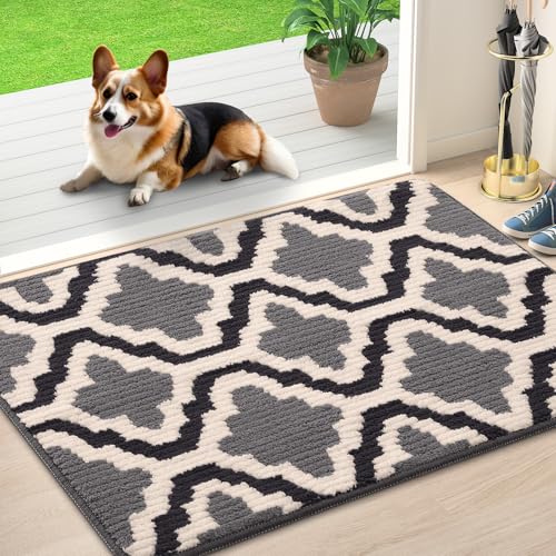 Homaxy Door Mats Indoor, Non-slip Soft Machine Washable Doormats, Dirt Trapper Mat Entrance Rug, Super Absorbent Floor Mats for Front Back Door, Entryway, Pets and Dogs (50 x 80 cm, Grey)