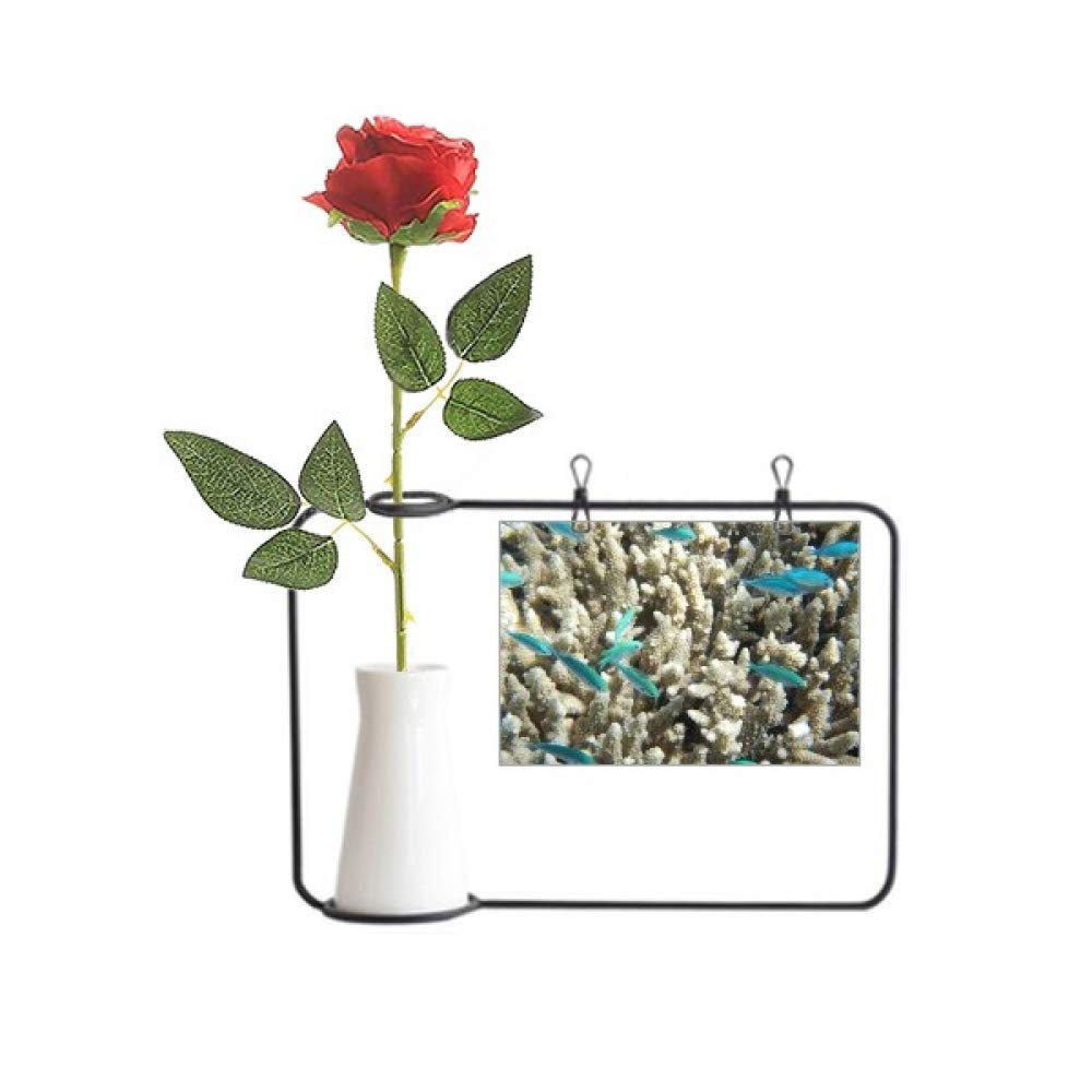 Poisson et corail sculptés sur vase de décoration bouteille haut de gamme style ocean