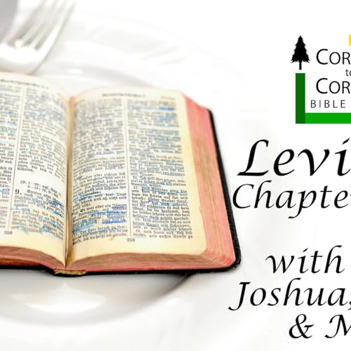 Leviticus Chapters 24-25 Podcast Por  arte de portada