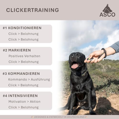 ASCO Premium Clicker für Clickertraining, Hunde Katzen Pferde Profi Clicker, Hundetraining Klicker, schwarz, ASCO-01P