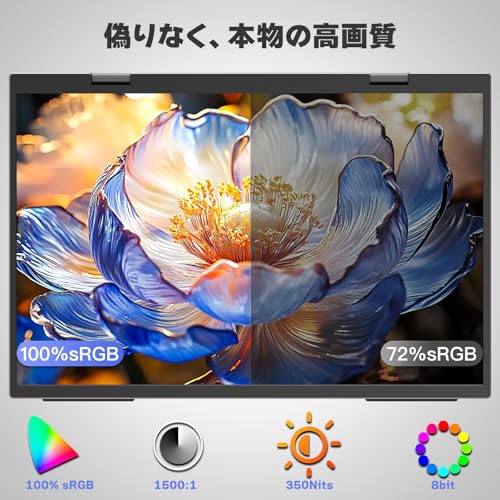 【Amazon限定ブランド】VisionOwl デュアルモバイルモニター 14インチ 100％sRGB広色域 高輝度350nit ドライバー不要 4穴VESA 自立型 収納ケース付 画像比率調整可能 2画面モバイルディスプレイ 非光沢IPSパネル WUXGA 1920x1200 PS4/XBOX/Switch/PC/Macなど対応 DB-14