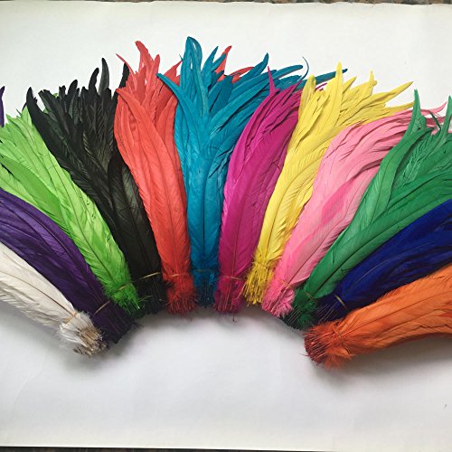 Shekyeon 16-18Inch 40-45Cm Rooster Coque Tail Feather For Costume Decoration Pack Of 20 (Turquoise) #TOP1