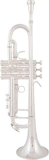 Student Brass Trumpet Silver Plated Trumpet Brass Gold Lacquer B Flat Playing Musical Instrument Trumpet With Mouthpiece (Color : 03)