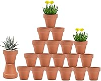 Vensovo 3 Inch Terracotta Pots with Drainage - 20 Pack Durable Clay Planters for Succulents, Cactus, Herbs, Crafts & Wedding Favors