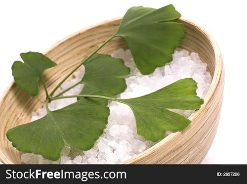 Wildcrafted Ginkgo Biloba Leaf Powder 16Oz The Bloomin Herb Shoppe No Additives No Chemicals Tea #TOP5