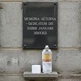 IDEA Home Aktywna pianka do czyszczenia nagrobków i płyt nagrobnych – 400 ml specjalnego środka czyszczącego do pomników i powierzchni