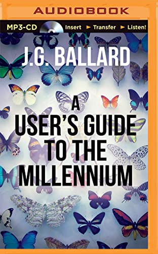 A User's Guide to the Millennium 1511319453 Book Cover