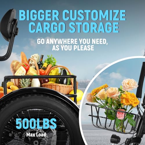 Qlife Triker Plus Electric Trike for Adults, Peak 1200W