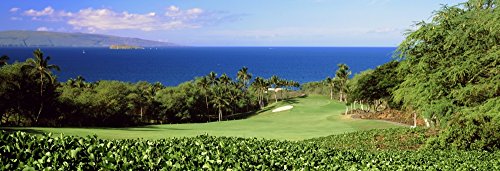 Wailea Golf Club Oceanfront Maui Hawaii Poster (27x9)