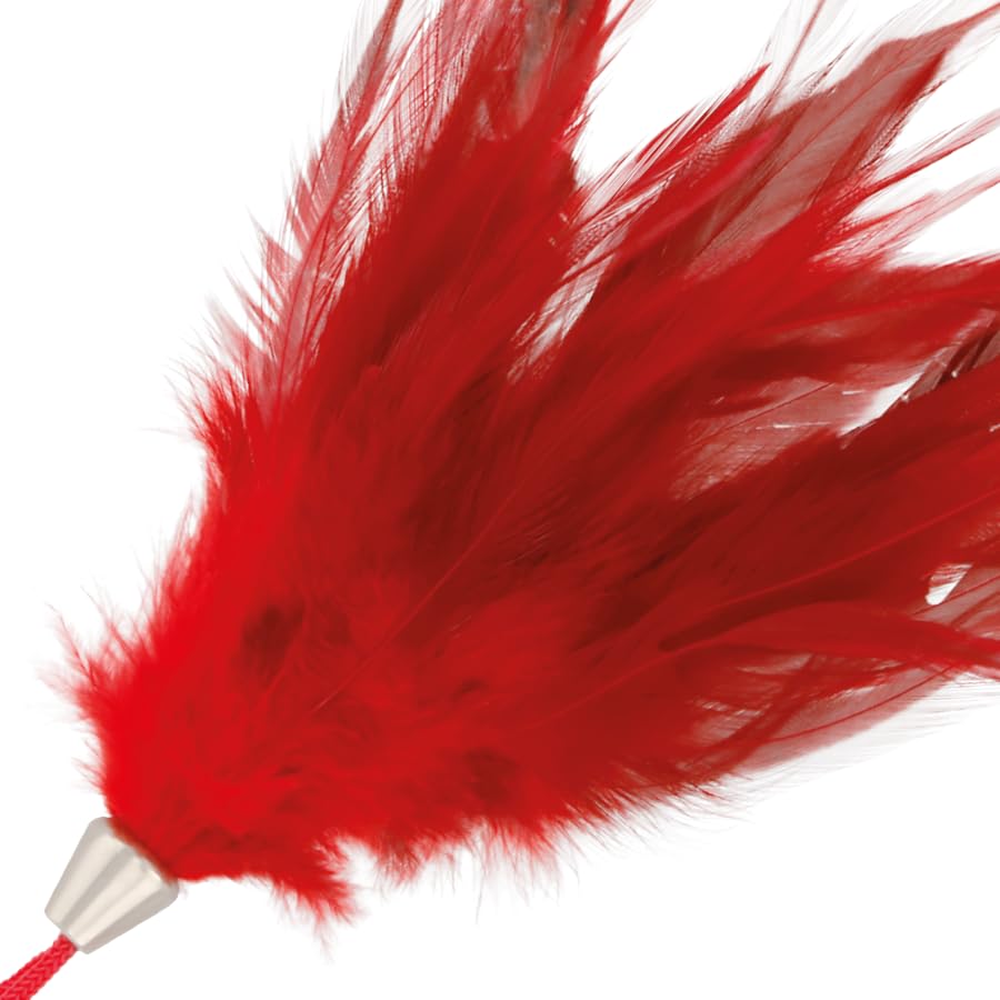 PLUMA ESTIMULADORA ROJA 13 CM