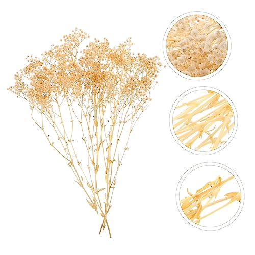 Ramo de flores secas Babysbreath para decoración natural miniatura 4