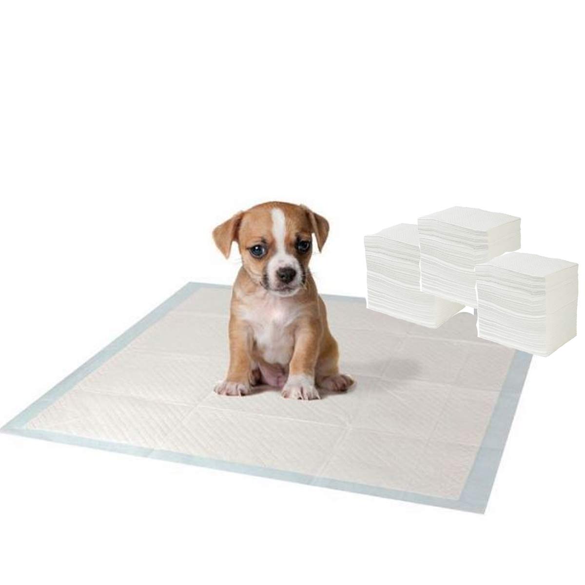Max Solutions Heavy Duty Pet Puppy Training Pads Super Absorbent & Odour Locking Multi Layered Floor Toilet Mats 8 Pack