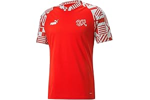 PUMA SFV Prematch Men's Soccer Jersey: Combining Style and Performance