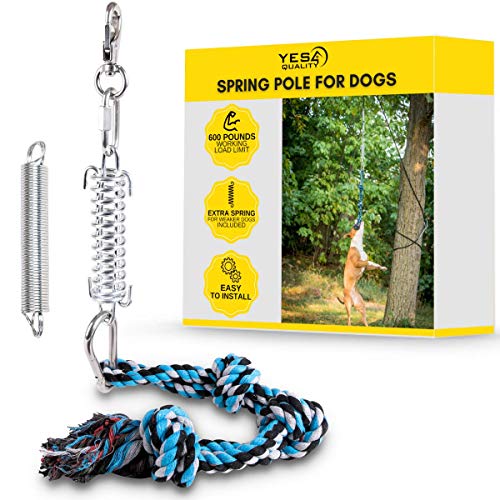 Durable Spring Pole for Pitbull - Strong Dog Rope Toy & 2 Different Capacity Springs Included - Ideal for Medium to Large Dogs & Puppies - Safe Outdoor Exercise, Pull & Tug of War Toy - Muscle Builder