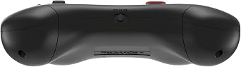Retro Fighters D6 Dreamcast Wireless Controller for Switch/PC/Dreamcast, Black
