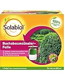 [page_title]-Solabiol Buchsbaumzünsler-Falle, zur insektzidfreien Befallskontrolle von Buchsbaumzünsler Faltern, mit zwei Pheromonbehältern