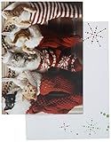 Avanti Press Christmas Cards, Stocking Full of Kittens, 20 Count (32559)