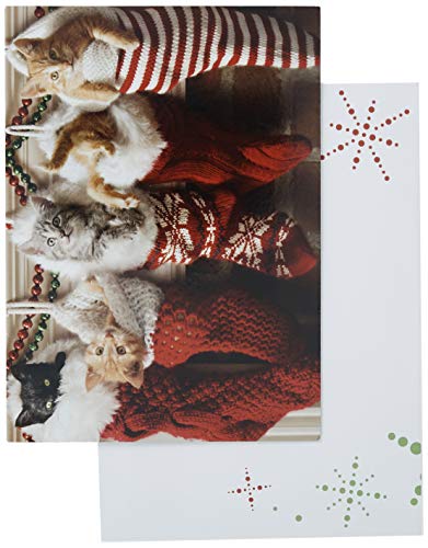 Avanti Press Christmas Cards, Stocking Full of Kittens, 20 Count (32559)