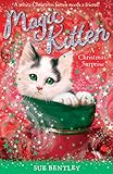 A Christmas Surprise (Magic Kitten Book 4)