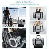BERTASCHE Tragetasche Transportbox Handhabung