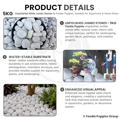 Image of Foodie Puppies Unpolished White Decorative Stones (5Kg, Jumbo Extra Large) (8cm - 12cm) for Garden Landscaping, Swimming Pools, Fish Tanks, Home Decor, Indoor & Outdoor Decorative Pebbles