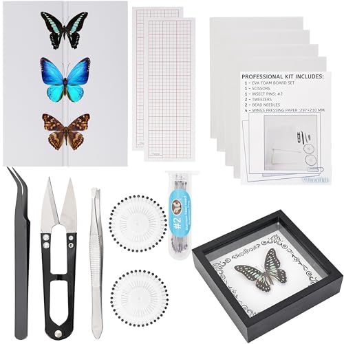 Insect Specimen Tools Kit - EVA Foam Pinning Board, Coordinate Paper, Wings Pressing Paper, Insect Pins &amp; Butterfly Pins, Complete Entomology Kit for Beginners (Black Display Case Box Kit)