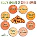 Alovitox Sun Dried Golden Berries | Raw, Fresh & Organic | 1 oz Contains 2g Protein & 5g Fiber, Low-Calorie & Glycemic Index | With Potassium, Iron, Vitamins A & C | Gluten-Free, Vegan | 8 oz