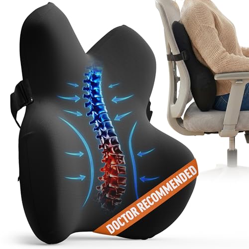 Everlasting Comfort Lumbar Pillow