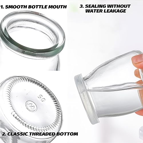 Danmu Art 6 barattoli di vetro da 200 ml per