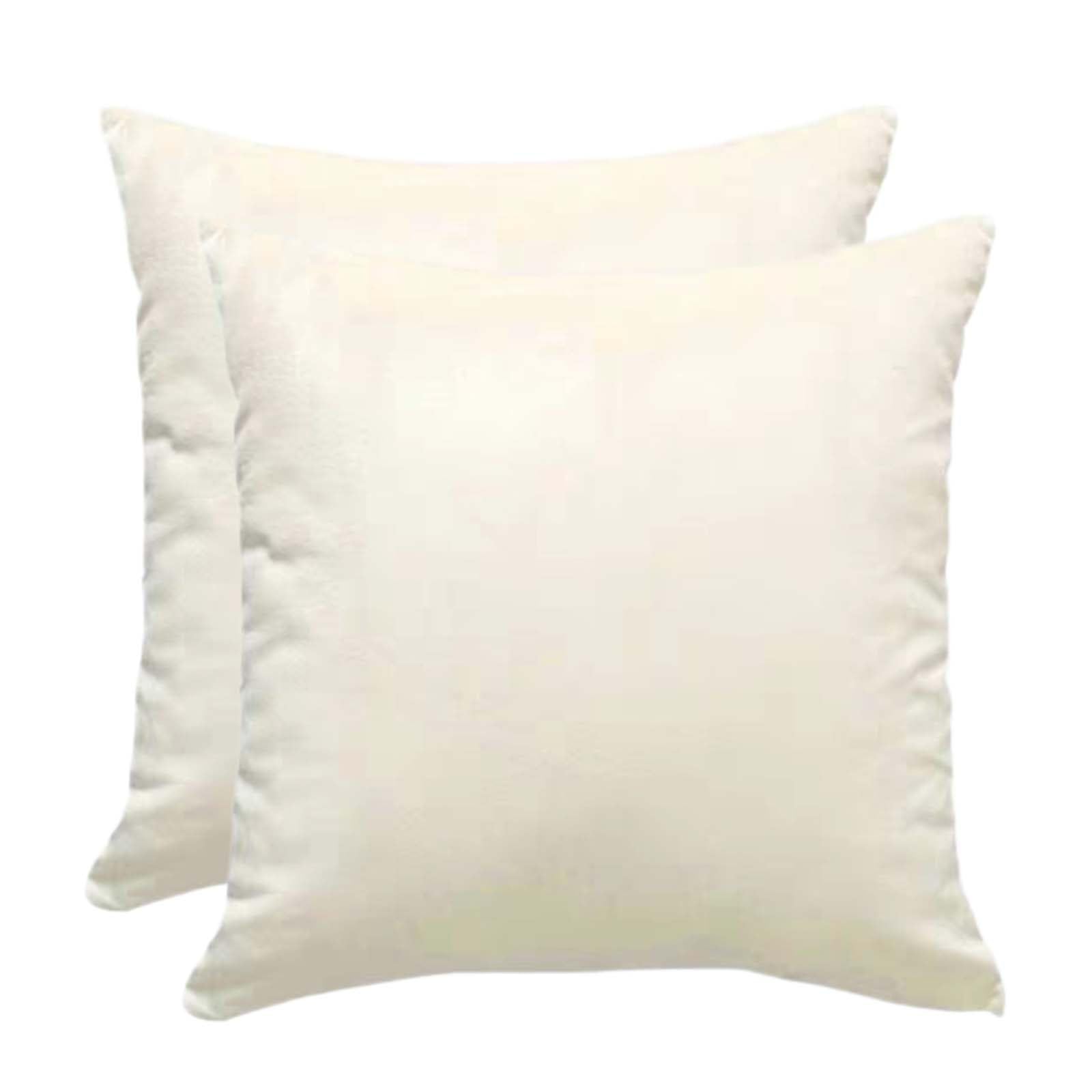 Throw Pillow Cases Set Of 2 Velvet Decorative Cushion Covers With Zipper｜Sofa Pillow Cases 12x20 18x18 20x20 24x24 Inch Couch Living Room Cushion Protector Cover