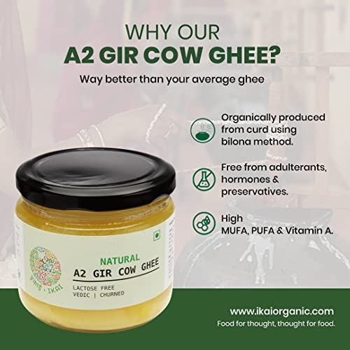 Image of IKAI Natural A2 Gir Cow Ghee 250ml, Grassfed, Pure & Cultured by Vedic Bilona Method, Natural Curd Churned Healthy Cow Ghee For Immunity-Boosting