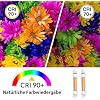 4x R7S LED 118mm 30W Dimmbare Stablampen – Ersatz Für 300W Halogen, 6000K Kaltweiß, 3000LM, 360° Abstrahlwinkel