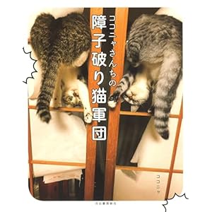 ココニャさんちの障子破り猫軍団