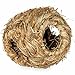 Prevue Hendryx 1093 Nature's Hideaway Grass Ball Toy, Small