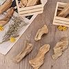 35oz Driftwood Decor for Crafts Natural Mixed Size Driftwood Pieces Small DIY Dried Wood Home Beach Wedding Table Art Decoration Garland Wooden Craft 2 Inches to 7 Inches in Length #5