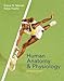 Human Anatomy & Physiology