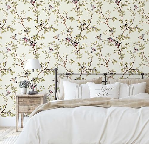 Papel de contacto autoadhesivo de pájaros para pared decorativa de oficina S4Sassy 4